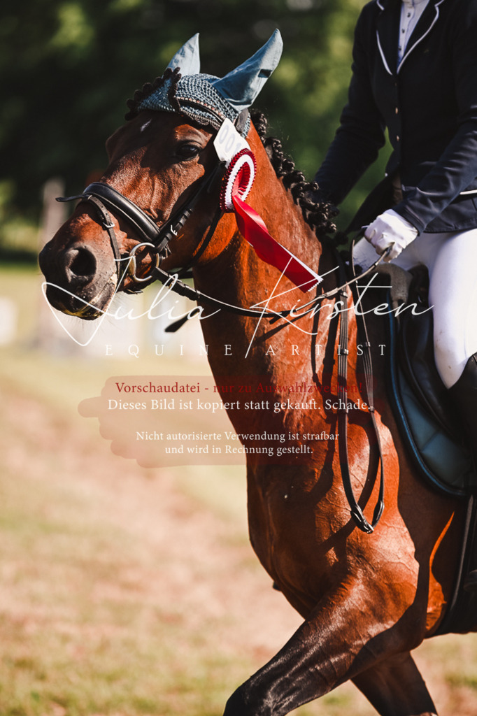 DSC_7402 | Pferde- und Turnierfotografie in Westsachsen. Pferdeportraits, Auftragszeichnungen und intuitive Kunst.
