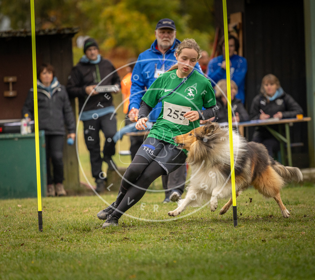 Pfotenfotografie_DV3A6251 | Hundefotografie, Tierfotograf, Pfotenfotografie, Fotoshooting Hund, Hunde Portrait, Hundesport, Hundeportraits, Heideshooting, Hunde, Sportfotograf, Hundefotograf, Turnierhundsport, THS,  - Realisiert mit Pictrs.com