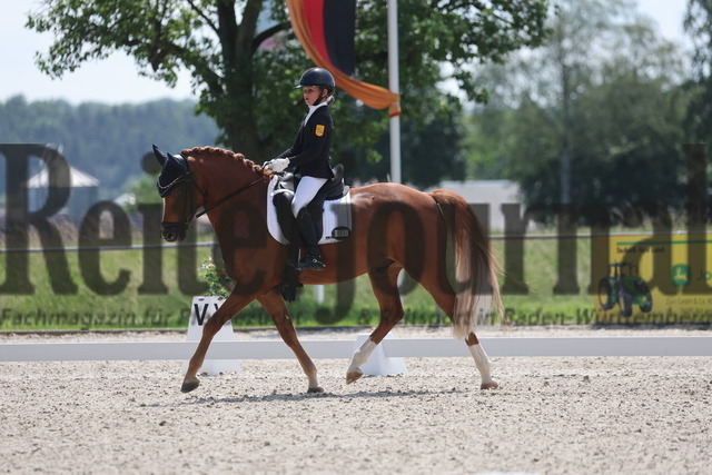 Rot am See_2024_Prfg.Nr.21_Qual.BCH_und_LCH_5-jähr.Ponys_Mary-Ann Hollenbach_Dein Traum (3) | Alle Fotos der Reiterjournal Fotografin Doris Matthaes im Reiterjournal Online-Fotoshop. - Realisiert mit Pictrs.com