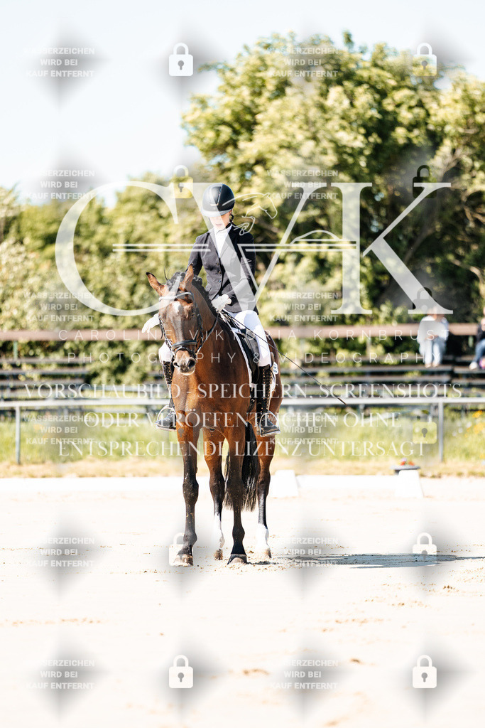 CK904903 | Turnierfotografie Pferdefotografie Trier Rheinland-Pfalz Pferdesport Reitsport Tierfotografie Sportfotografie Pferdevideo Pferdevideografie Equestrianvideography equestrianphotography  - Realisiert mit Pictrs.com