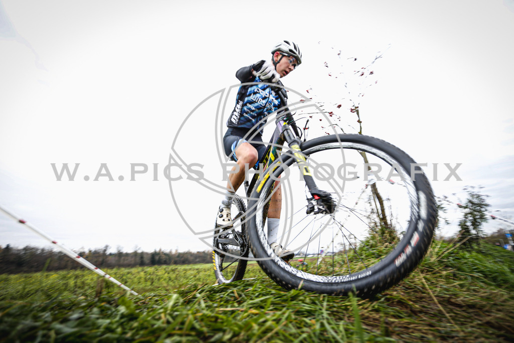 ..... | AUSTRIA, 24.11.24, 3.Radquerfeldein GP um das Sportzentrum Gunskirchen Image shows: Photo: Wapics / Andreas Willdoner
