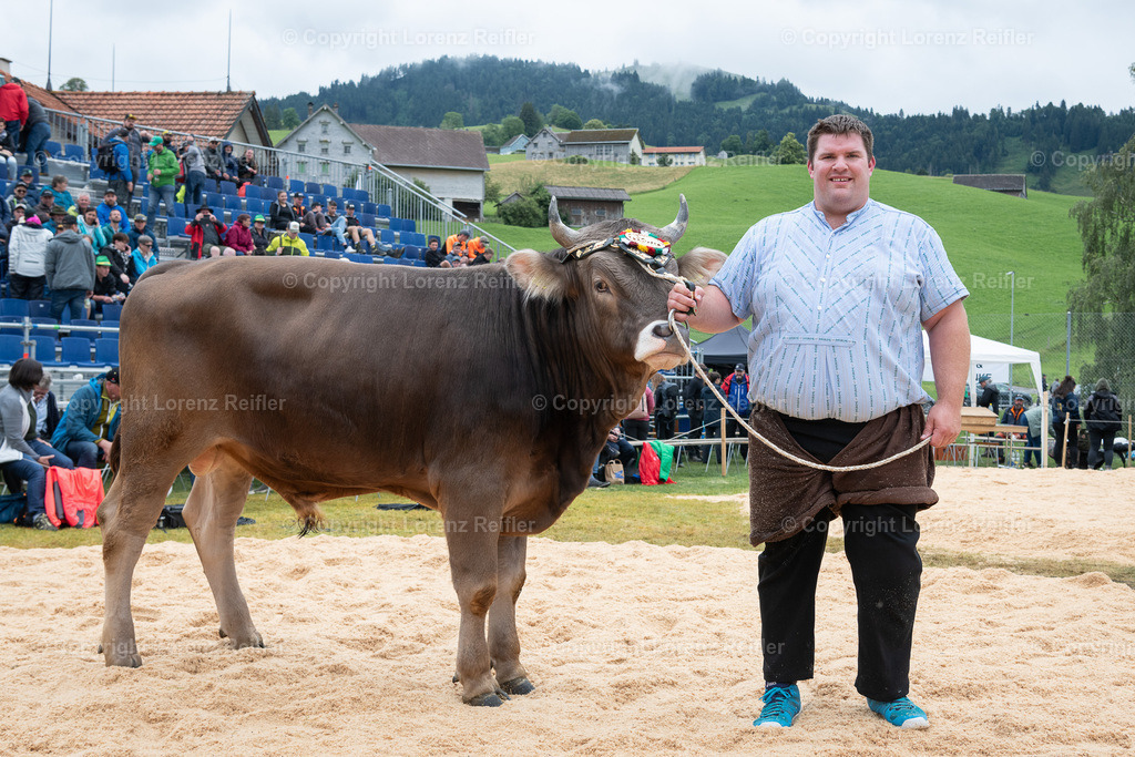 Schwingen -  Appenzeller Kantonal Schwingfest 2024 | Hundwil, 7.7.24, Schwingen - Appenzeller Kantonal Schwingfest.