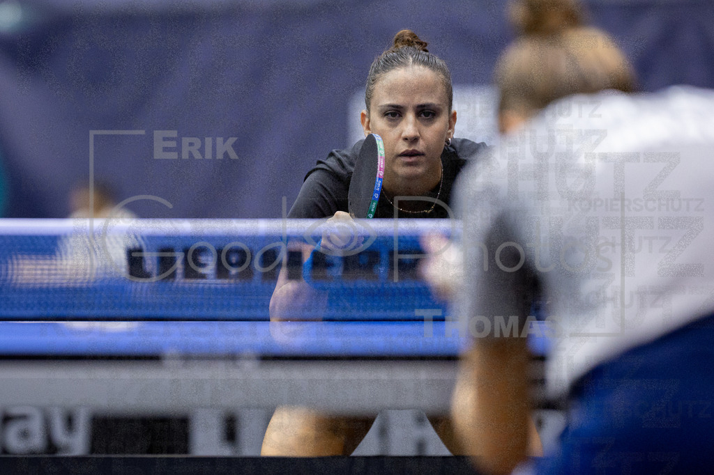 European_Championships_2024-10-16_004 | good-photos - Realisiert mit Pictrs.com