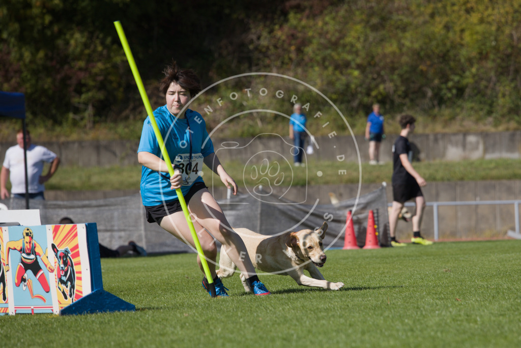 0L8A7620 | Hundefotografie, Tierfotograf, Pfotenfotografie, Fotoshooting Hund, Hunde Portrait, Hundesport, Hundeportraits, Heideshooting, Hunde, Sportfotograf, Hundefotograf, Turnierhundsport, THS,  - Realisiert mit Pictrs.com