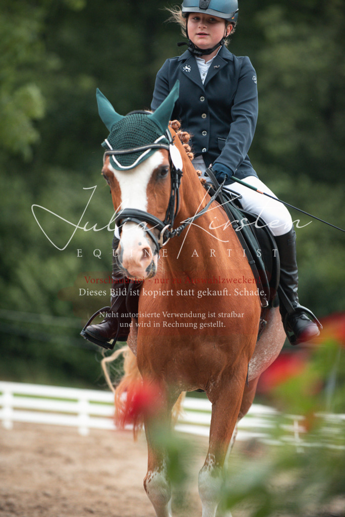 DSC_9634 | Pferde- und Turnierfotografie in Westsachsen. Pferdeportraits, Auftragszeichnungen und intuitive Kunst.