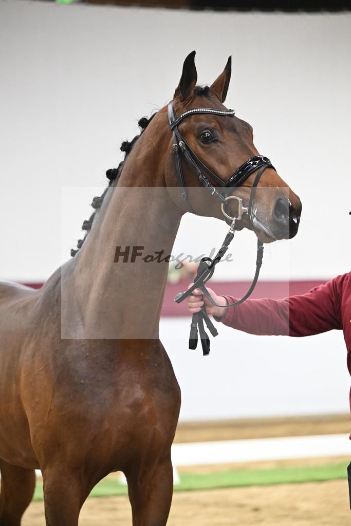 Kat-Nr. 43 Va Pensiero x Secret_Philipp Stuppert_47251504 | hf-fotografie - Realisiert mit Pictrs.com