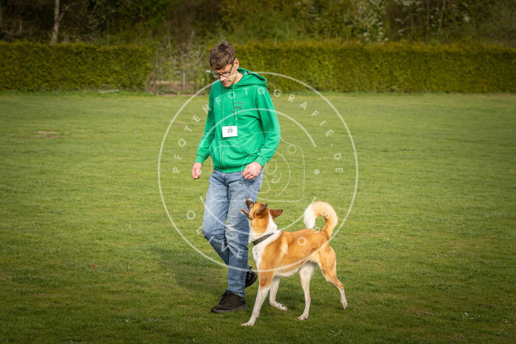Pfotenfotografie_DV3A4889 | Hundefotografie, Tierfotograf, Pfotenfotografie, Fotoshooting Hund, Hunde Portrait, Hundesport, Hundeportraits, Heideshooting, Hunde, Sportfotograf, Hundefotograf, Turnierhundsport, THS,  - Realisiert mit Pictrs.com