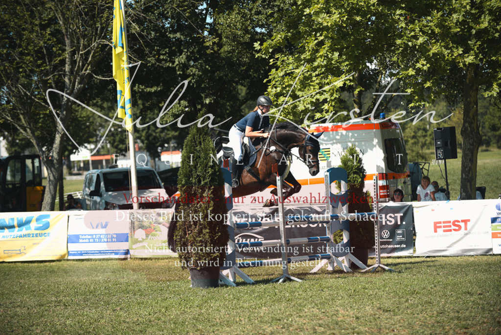 DSC_7003 | Pferde- und Turnierfotografie in Westsachsen. Pferdeportraits, Auftragszeichnungen und intuitive Kunst.