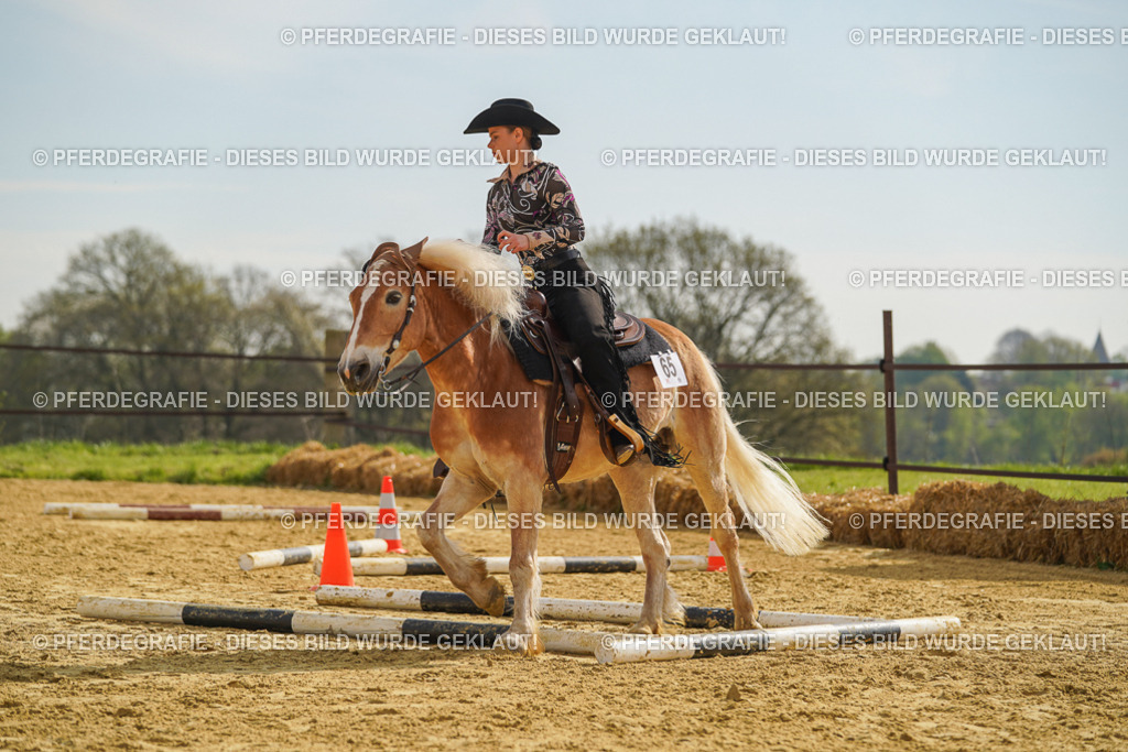 DSC01732 | Pferdegrafie