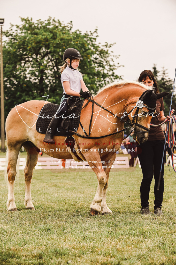 DSC_5267 | Pferde- und Turnierfotografie in Westsachsen. Pferdeportraits, Auftragszeichnungen und intuitive Kunst.