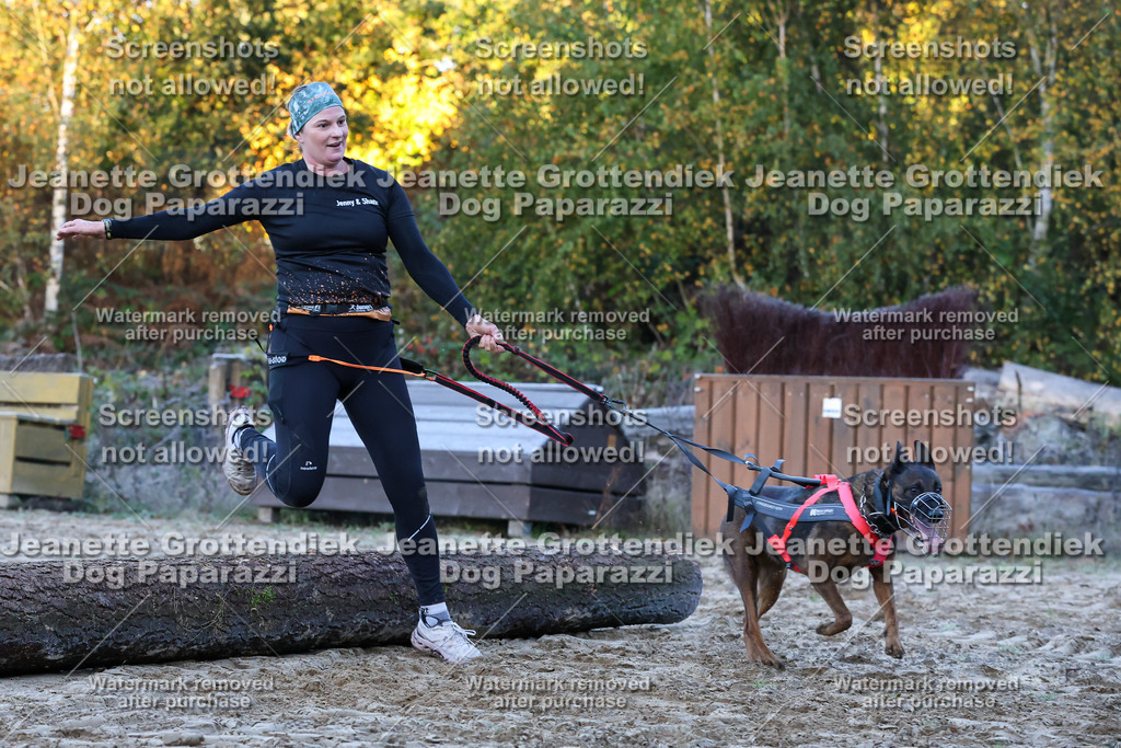 Dog Paparazzi - Strongdog 10-25-359 | Dog Paparazzi Jeanette Grottendiek Fotografie & Videografie - Realisiert mit Pictrs.com