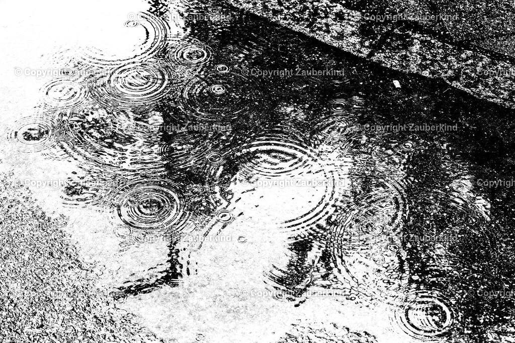 11157566_926598944027354_6046107394567988943_o | zauberkind