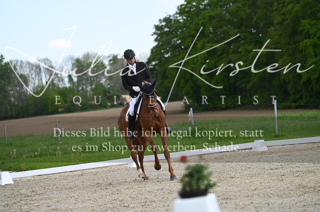 20230512_JK-Röhrsdorf-03-039 | Pferde- und Turnierfotografie in Westsachsen. Pferdeportraits, Auftragszeichnungen und intuitive Kunst.