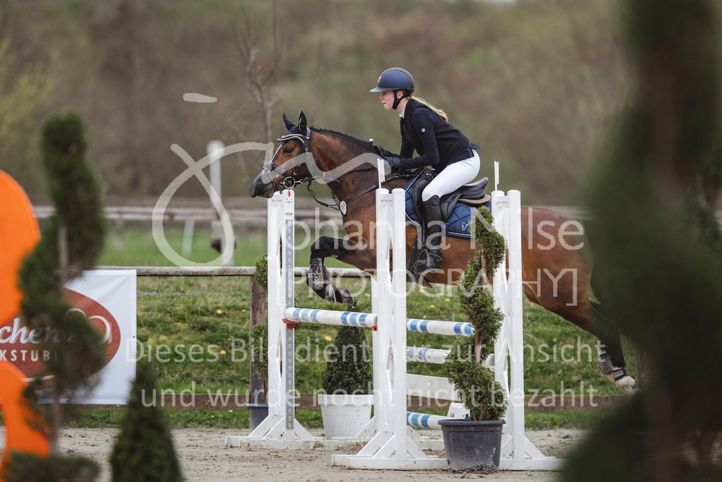 240330_Fruehlingsfest_Stil-A2-2-752 | Deine schönsten Turniermomente als professionelle Fotos! Entdecke hochwertige Pferdesport-Fotografie im Online-Shop. Jetzt Fotos finden & bestellen!