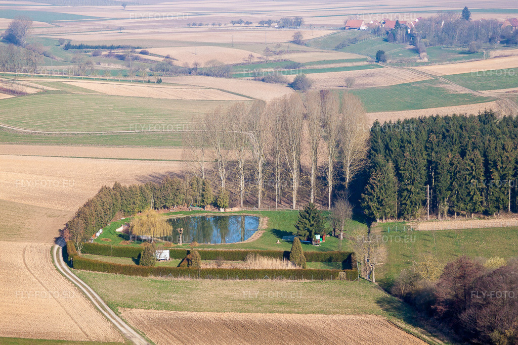 Vue aérienne: Vue de la ville à Siegen dans le département Bas Rhin, France – .Photo: IMG_62684.jpg prise le 09/03/2014 par Werner Riehm/FLY-FOTO.eu – Résolution de l'original: 4752 x 3168 px