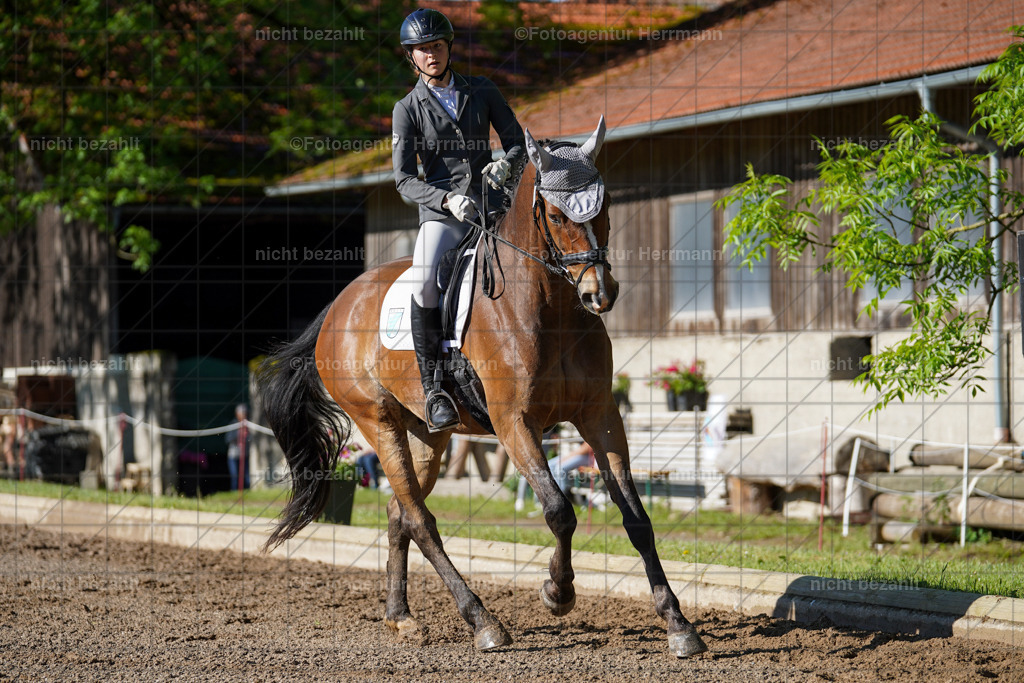 20240519-FAH04337 | Turnierbilder Niederseeon 2024, Vielseitigkeitsdressur, Reitsportbilder aus dem Landkreit Ebersberg, Gut Steinsee, RC Steinsee, Fotoagentur Herrmann