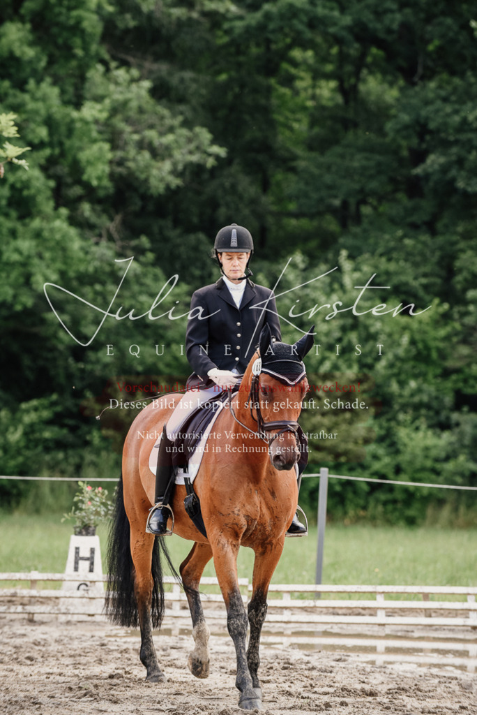 DSC_9733 | Pferde- und Turnierfotografie in Westsachsen. Pferdeportraits, Auftragszeichnungen und intuitive Kunst.