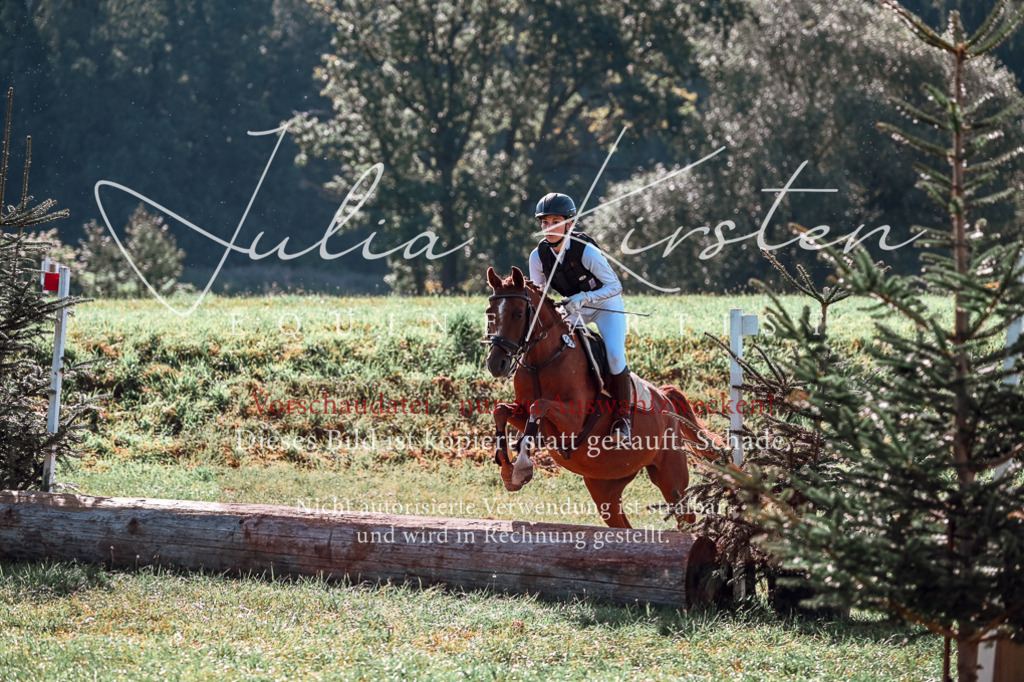 DSC_0867 | Pferde- und Turnierfotografie in Westsachsen. Pferdeportraits, Auftragszeichnungen und intuitive Kunst.