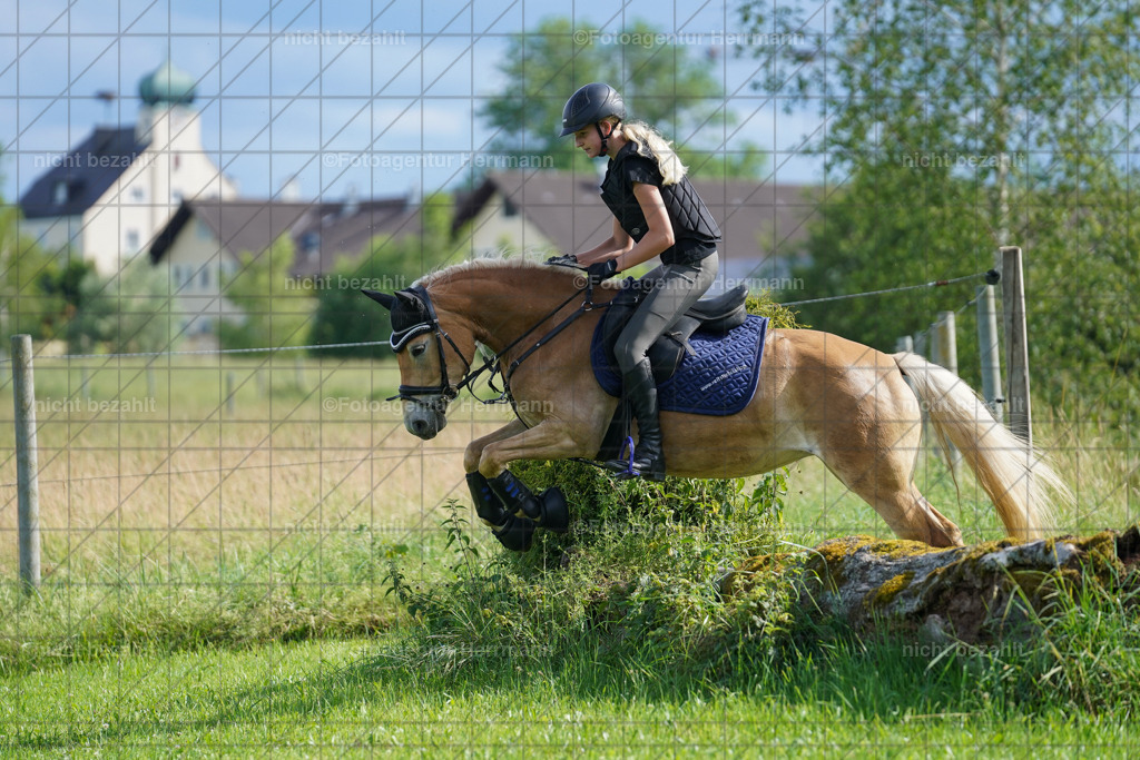 20240622-FAH08093 | Turnierfotografen Bayern, Reitsportbilder aus dem Geländekurs mit Felix Etzel auf dem Gut Waitzacker 2024