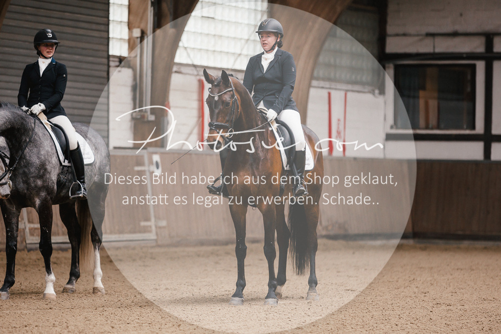 3I6A7056 | Stimmungsvolle Portraits und Reitsportfotografie im Ruhrgebiet und im Münsterland.

Pferdefotografie, Hundefotografie, Tierfotografie, Reportagen, Portraits von Tier und Mensch, Turnierfotografie in Bochum, Recklinghausen, Marl, Haltern am See, Dülmen.. - Realisiert mit Pictrs.com