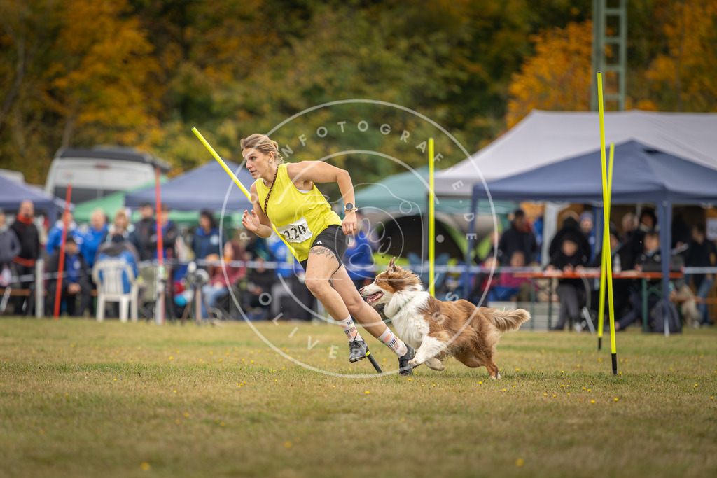 Pfotenfotografie_DV3A3699 | Hundefotografie, Tierfotograf, Pfotenfotografie, Fotoshooting Hund, Hunde Portrait, Hundesport, Hundeportraits, Heideshooting, Hunde, Sportfotograf, Hundefotograf, Turnierhundsport, THS,  - Realisiert mit Pictrs.com