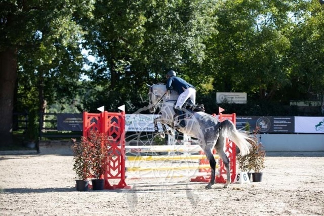 2B4A0185 | pixelfaenger - Realisiert mit Pictrs.com