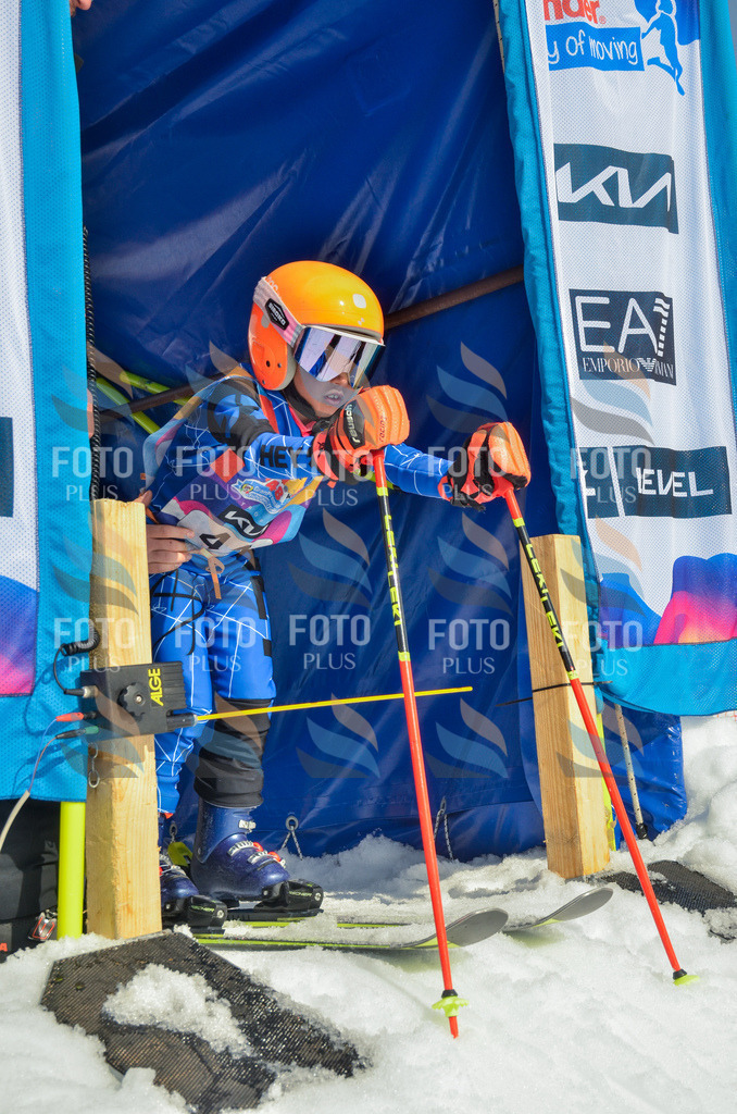 _ELE5093 | holidayphoto