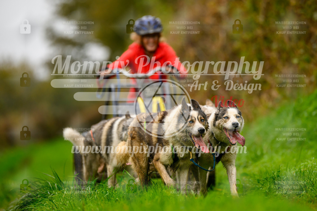 MompixPhotography_20TSB_E8_Kart-29 | PayLife