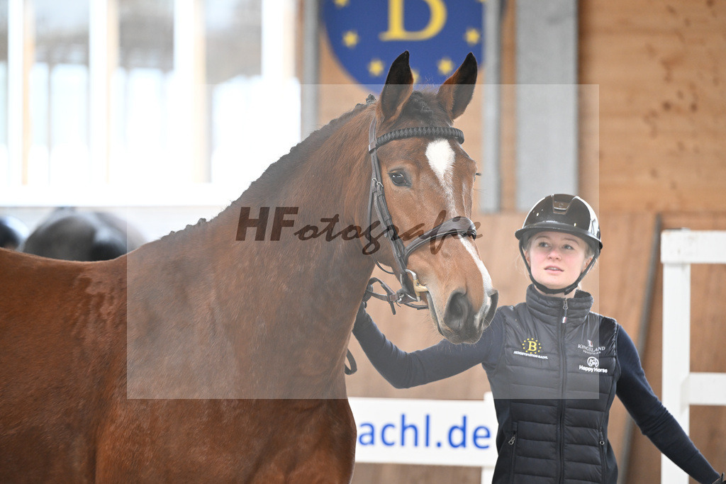Kat-Nr. 13 Coralee M v. Aganix Du Seigneur_Meindl_14260491 | hf-fotografie - Realisiert mit Pictrs.com