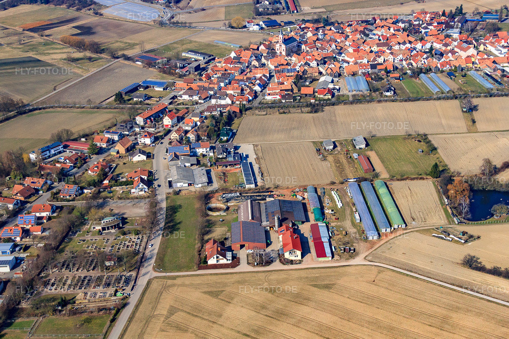 Luftbild: Schmiedhof in Neupotz im Bundesland Rheinland-Pfalz in Deutschland. Foto: IMG_48930.jpg vom 09.03.2012 durch Werner Riehm/FLY-FOTO.de