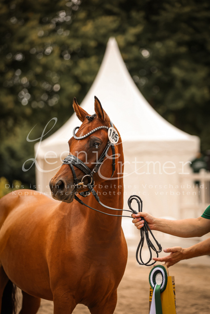 10.So00137 | Leoni Ertmer Photography - Realisiert mit Pictrs.com