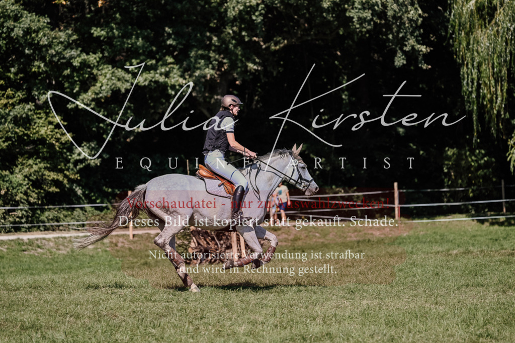 DSC_2859 | Pferde- und Turnierfotografie in Westsachsen. Pferdeportraits, Auftragszeichnungen und intuitive Kunst.