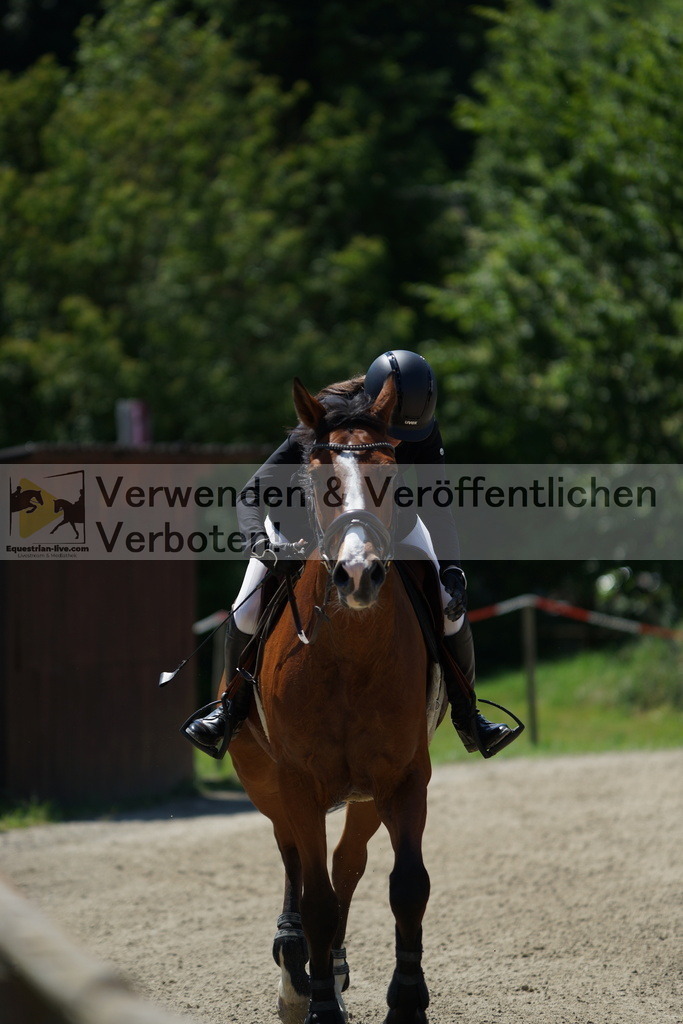 DSC00775 | equestrian-live-com
