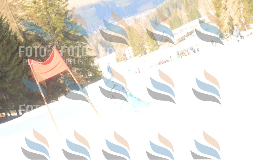C8181 | holidayphoto