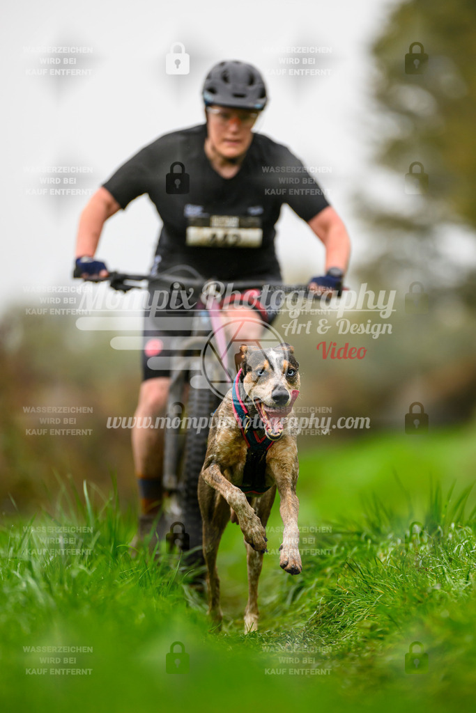 MompixPhotography_20TSB_E8_Bike-130 | PayLife