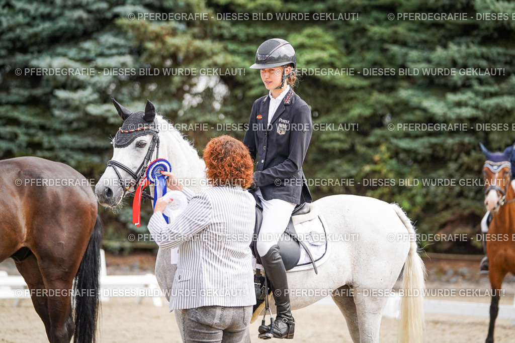 DSC02328 | Pferdegrafie