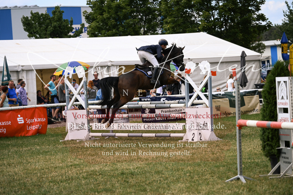 DSC_0627 | Pferde- und Turnierfotografie in Westsachsen. Pferdeportraits, Auftragszeichnungen und intuitive Kunst.