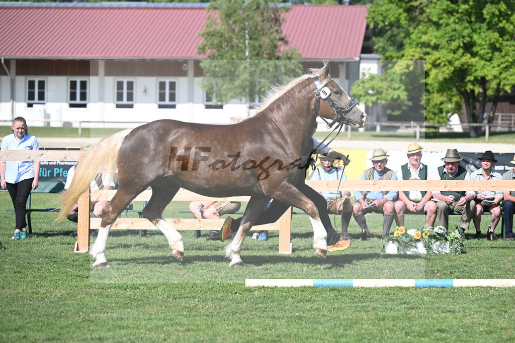 Kat-Nr. 9 Finja_Gerg_20230137 | hf-fotografie - Realisiert mit Pictrs.com