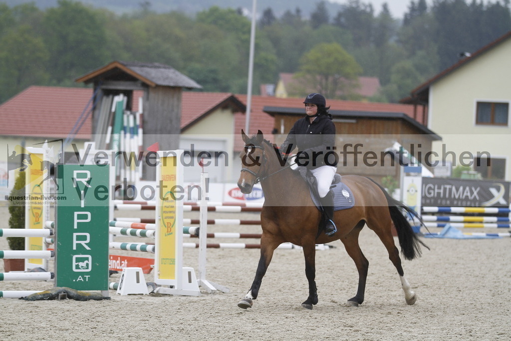 _MG_4003 | equestrian-live-com
