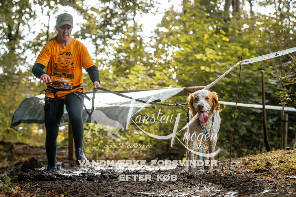 1454DZ6_3810Z6 | kk-dogfotos