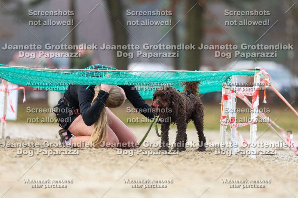Dog Paparazzi - Strongdog North Mrz26-4118 | Dog Paparazzi Jeanette Grottendiek Fotografie & Videografie - Realisiert mit Pictrs.com