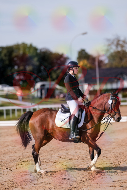 2026_10_03_Siefer-Hof_115437_Z81_94051547 | Professionelle Reitsport-, Turnier- und Eventfotografie von Robert Broda. Galerien mit ausgewählten und bearbeiteten Bildern direkt online ansehen und bestellen.