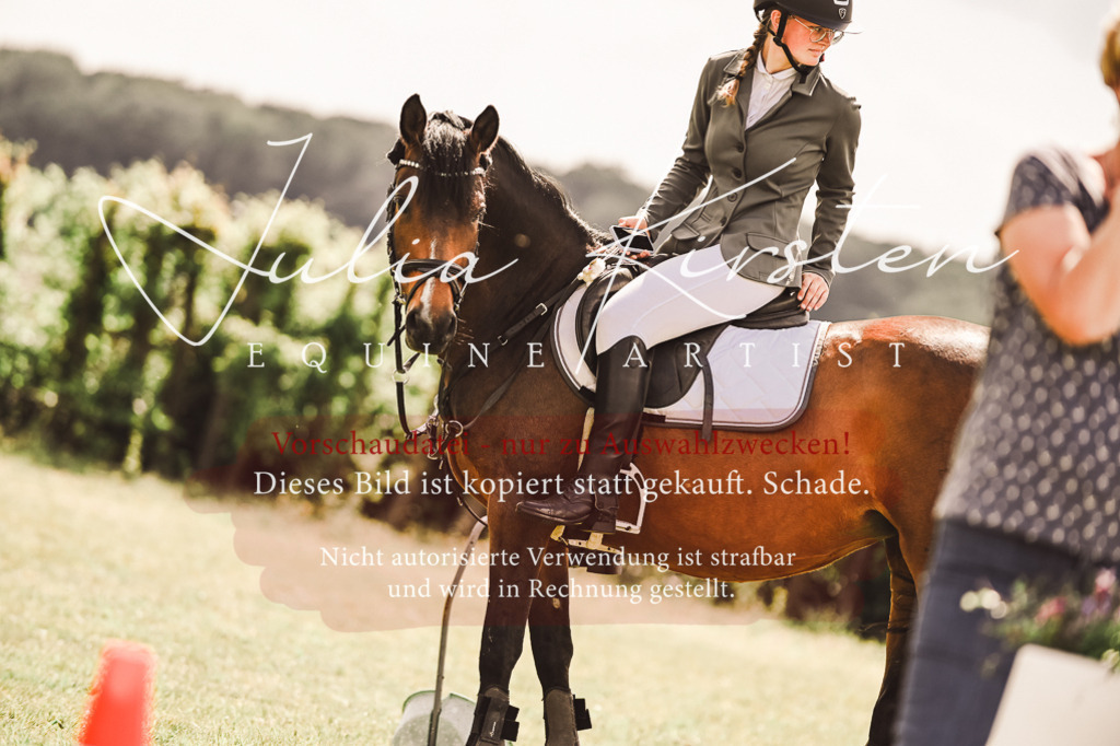 DSC_7033 | Pferde- und Turnierfotografie in Westsachsen. Pferdeportraits, Auftragszeichnungen und intuitive Kunst.