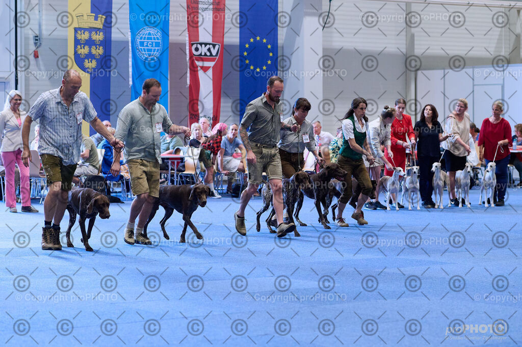 202406_ÖKV-IHA-Tulln24_DSC_3757 | proPHOTO - Realisiert mit Pictrs.com