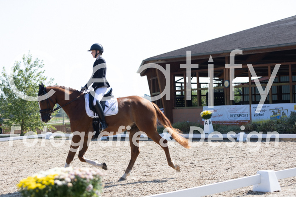 IMG_4349 | Creatify Fotografie