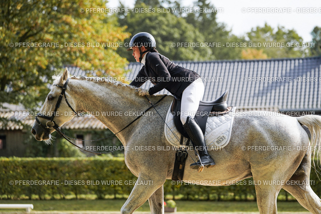 DSC04451 | Pferdegrafie