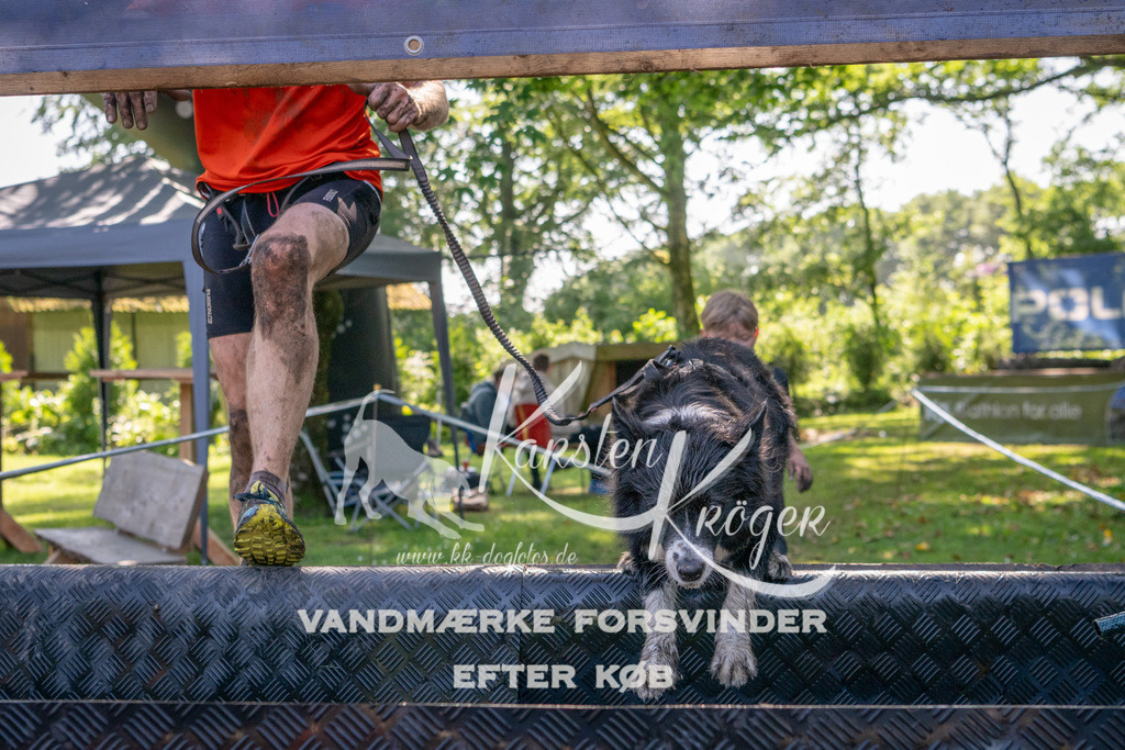 1530_ZZ91553 | kk-dogfotos