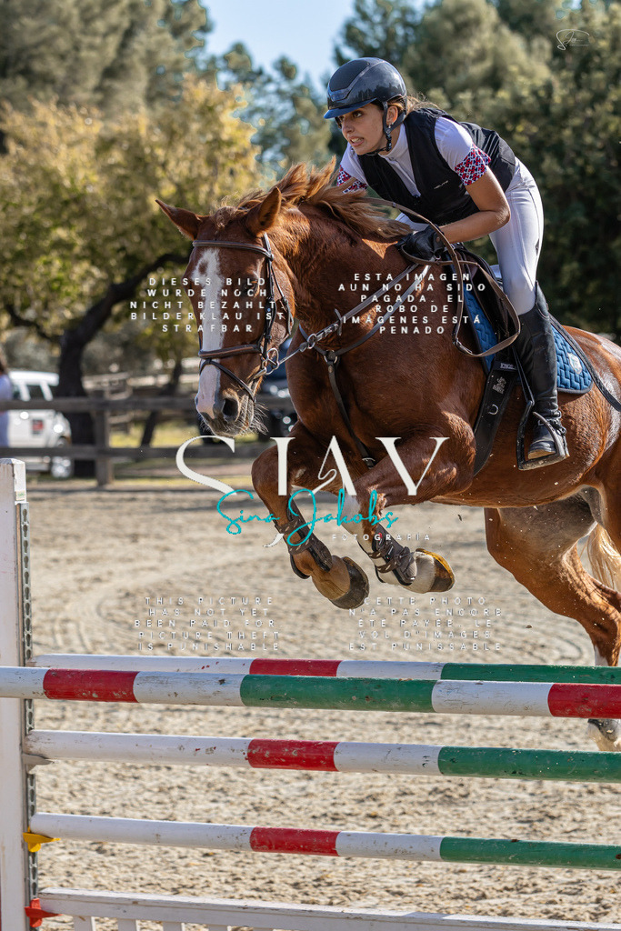 IMG_0155 | s-jay-photography - Realisiert mit Pictrs.com