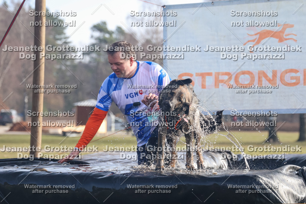 Dog Paparazzi - Strongdog North Mrz26-400 | Dog Paparazzi Jeanette Grottendiek Fotografie & Videografie - Realisiert mit Pictrs.com