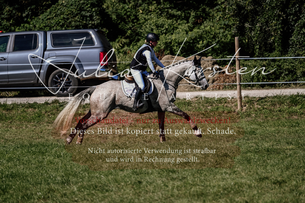 DSC_1407 | Pferde- und Turnierfotografie in Westsachsen. Pferdeportraits, Auftragszeichnungen und intuitive Kunst.